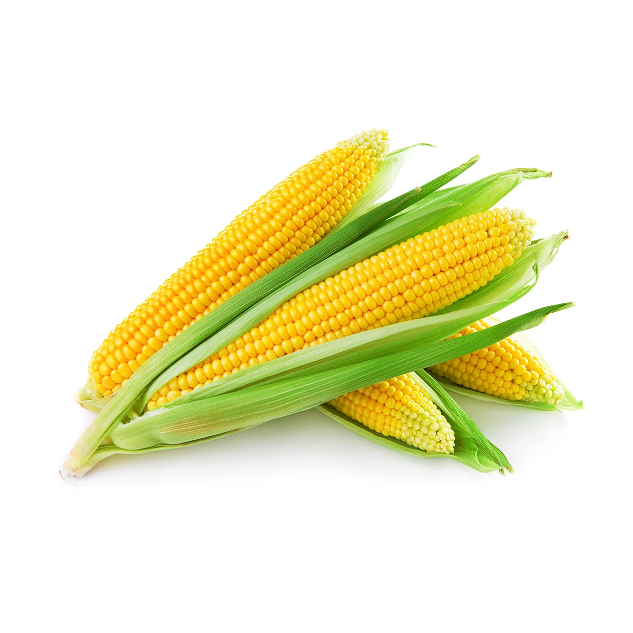 Corn